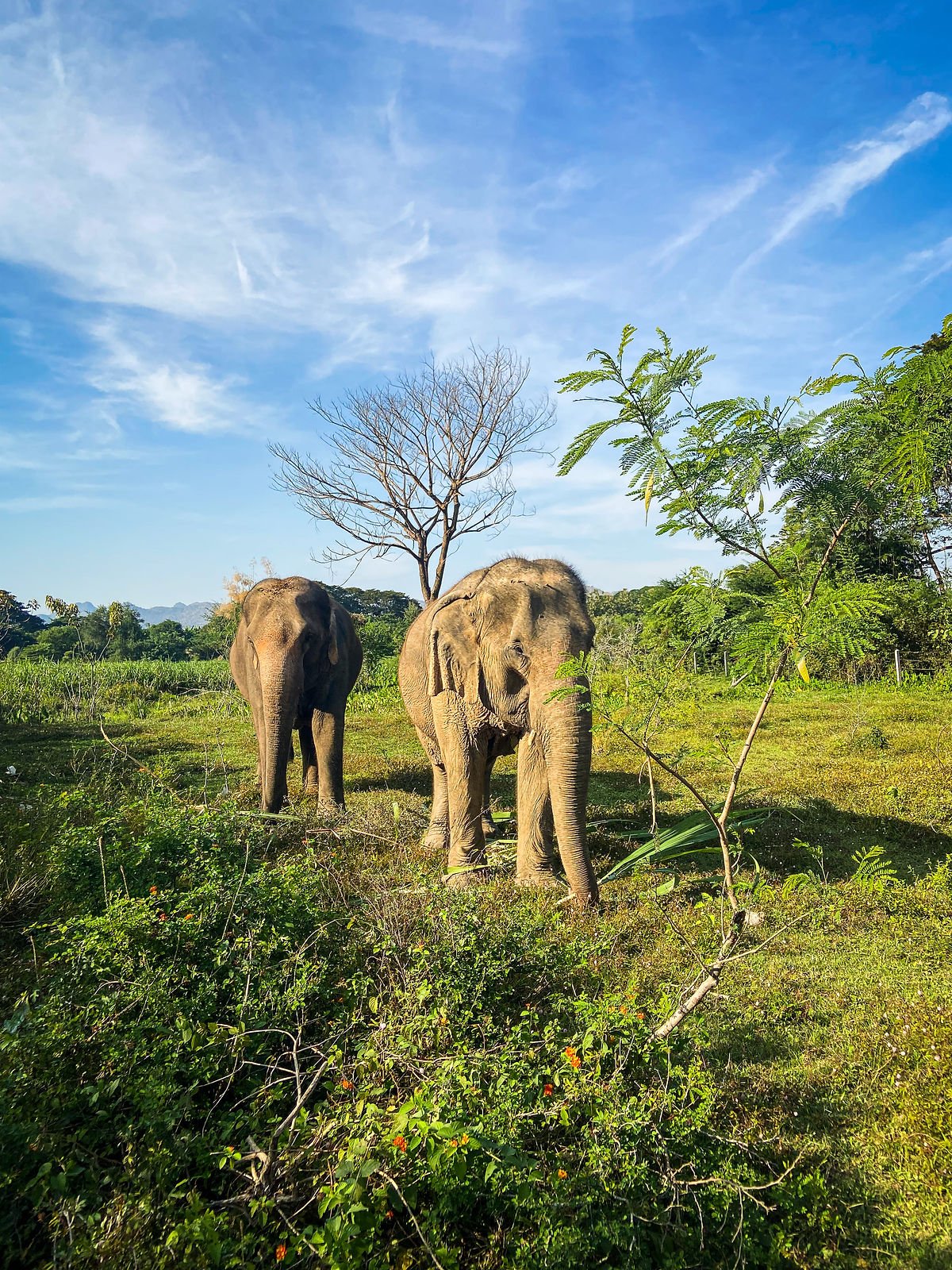 Luminar Neo vs Photoshop : Quel est le meilleur pour la retouche de photos de voyage ?