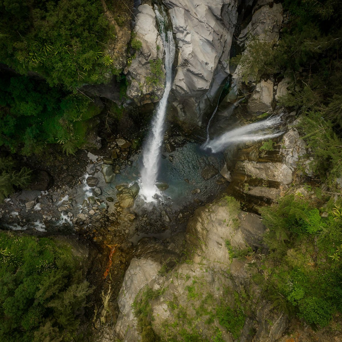 LA CULTURE REUNIONNAISE : UNE IDENTITE FAMILIALE.