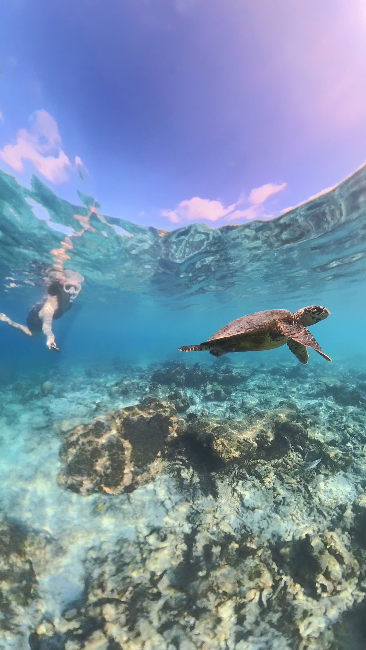 Avis sur la tente de toit Owen Version Two + avec pré-tente