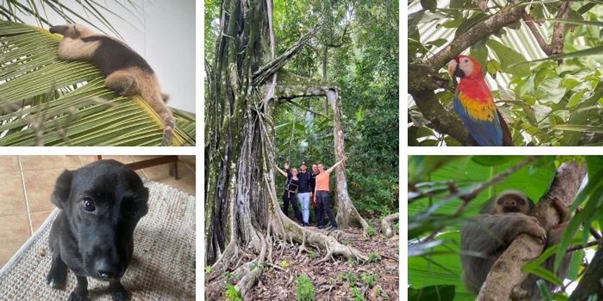 L&rsquo;Aquarium de Saint-Gilles : un aperçu de la biodiversité des récifs coralliens de La Réunion