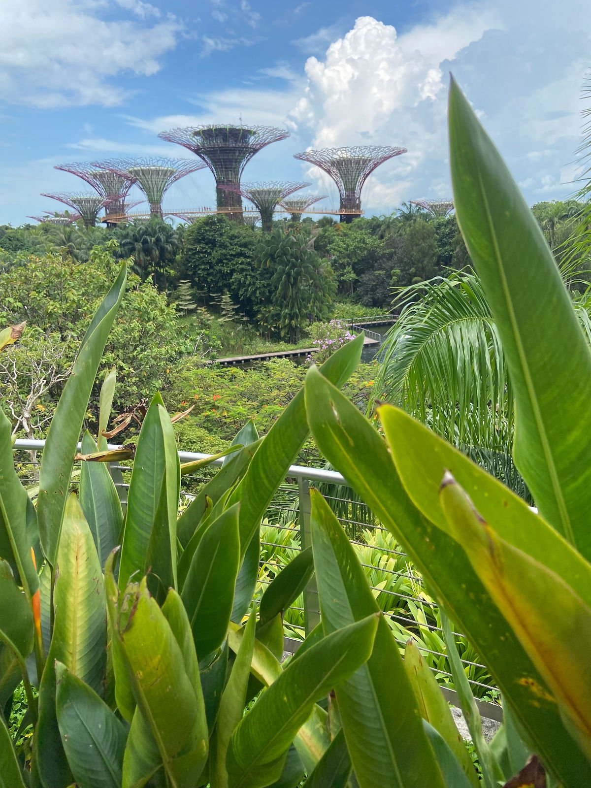 Garden by the bay Singapour