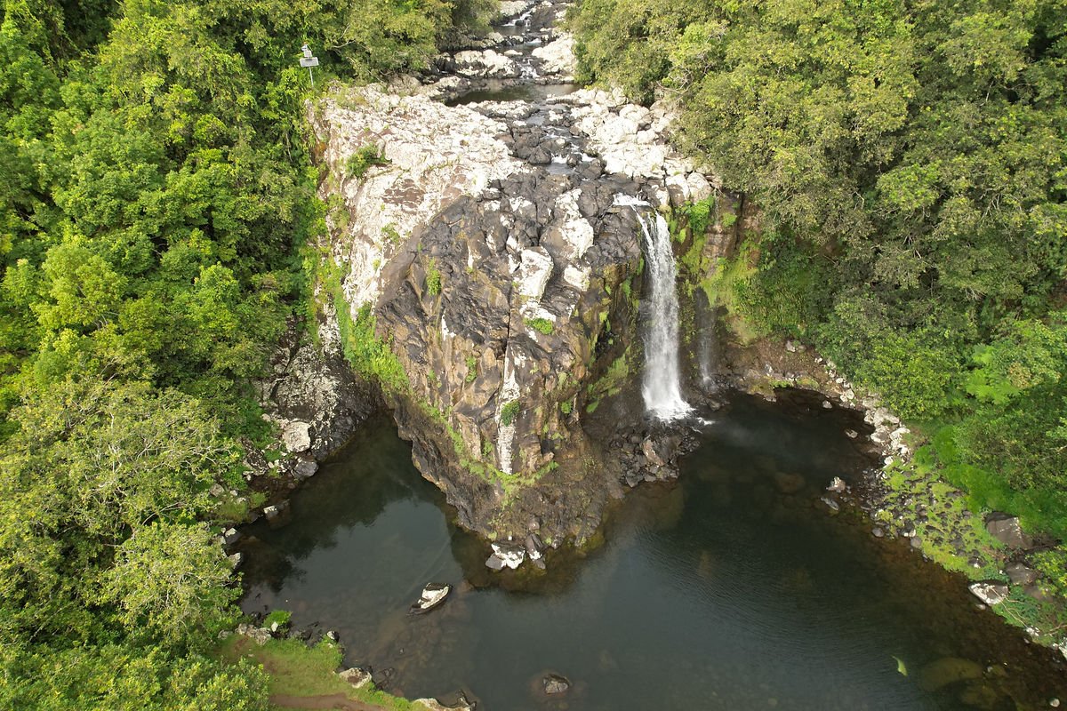 Bassin Nicole