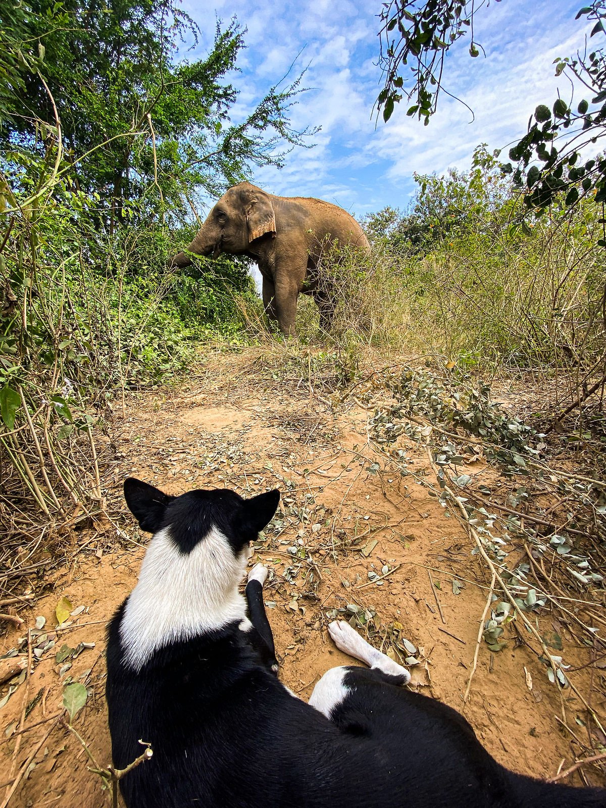 Volontariat en Thailande: Baan Mama