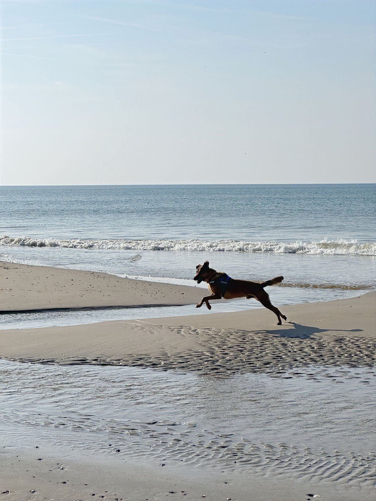 Plage de Hirtshals