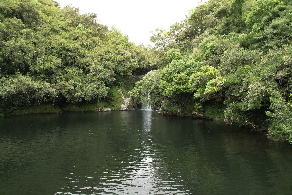 Bassin Boeuf