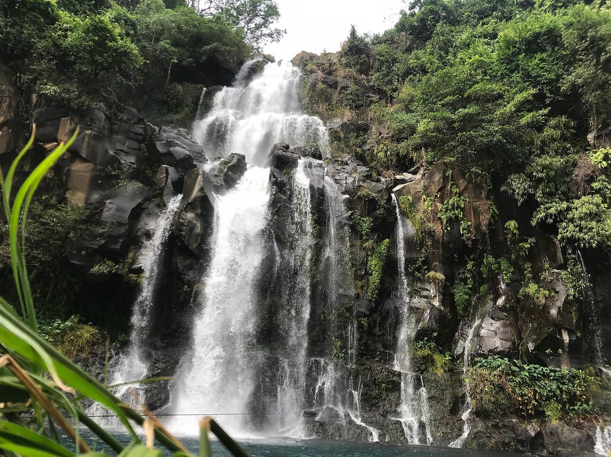 Baignade dans le Bassin des Aigrettes à La Réunion