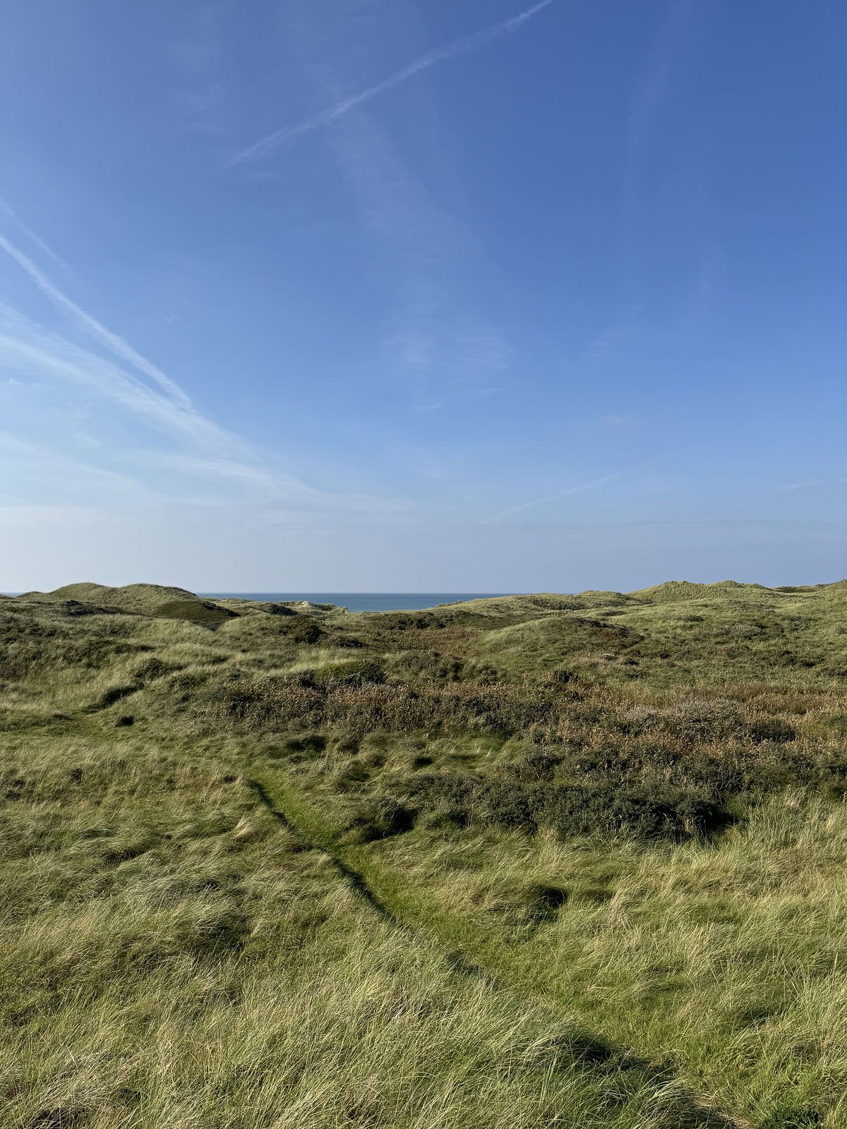 Hirtshals