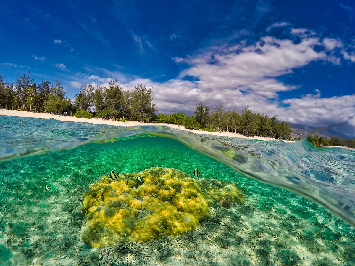 snorkeling la reunion