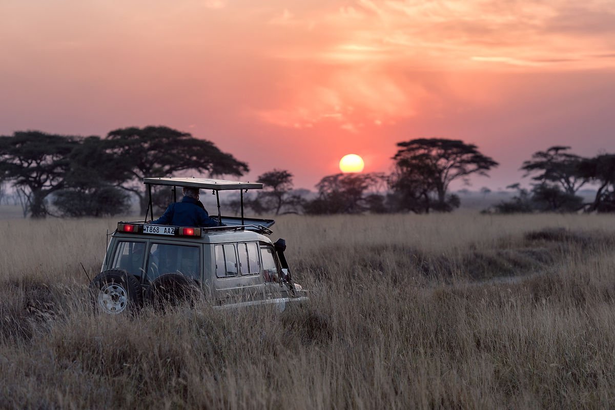 Safari Afrique du Sud