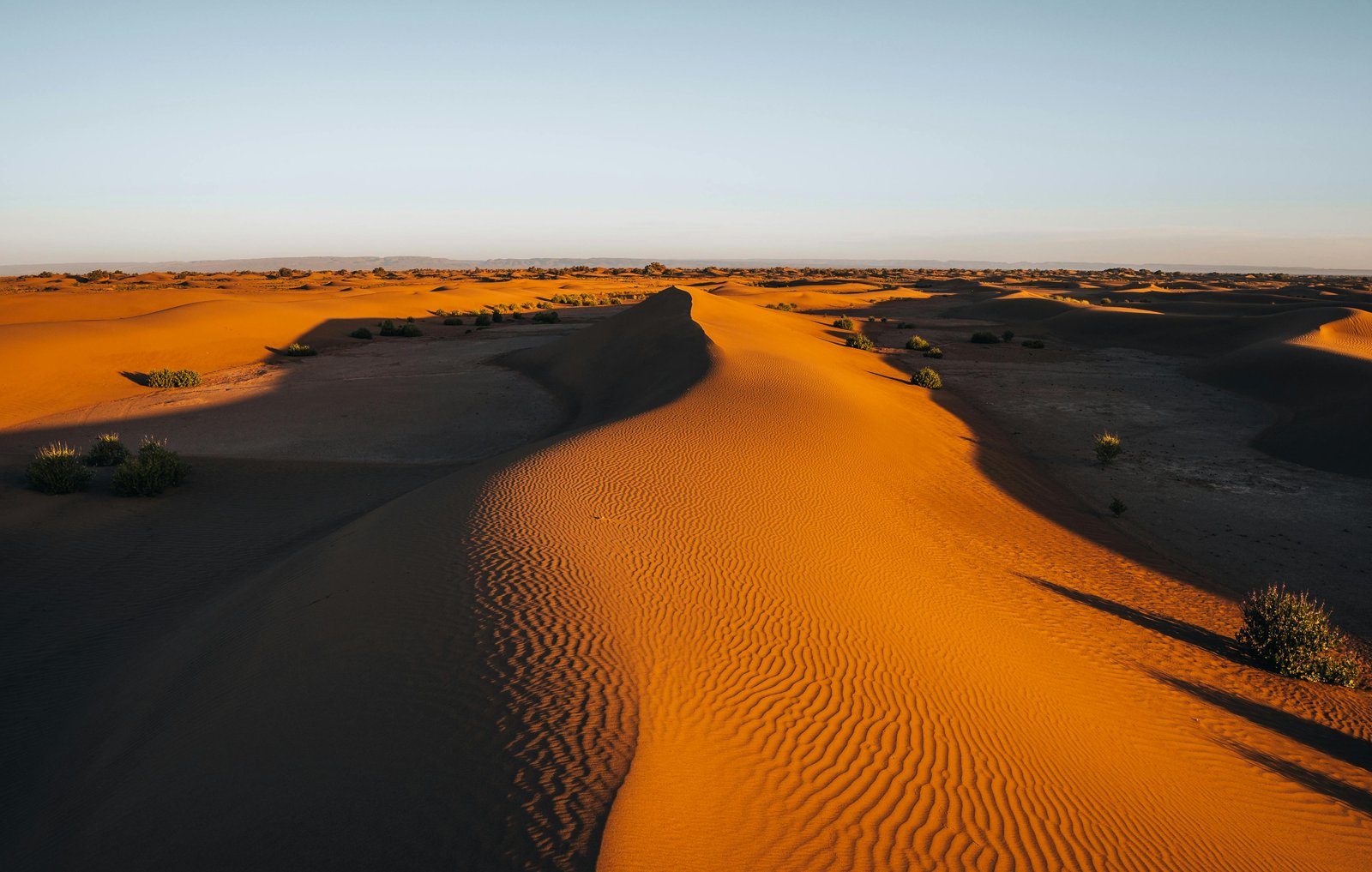 Dunes du Sahara marocain au coucher du soleil