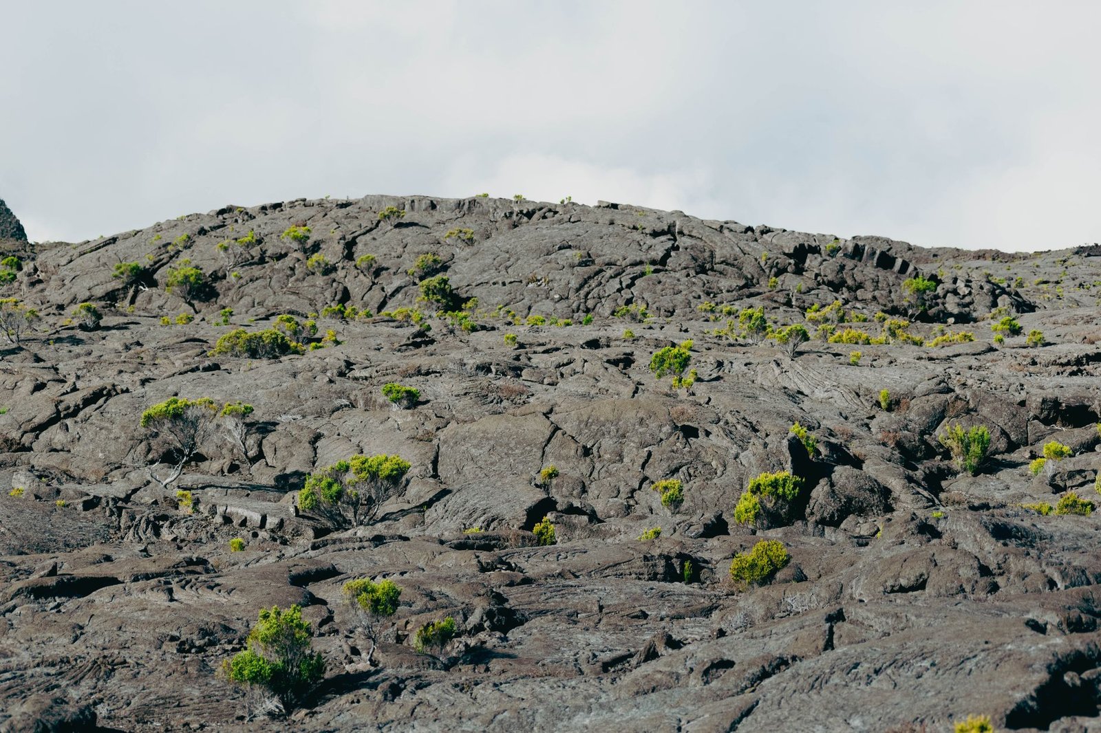 Paysage de lave et végétation clairsemée pour illustrer le secteur du Grand Brûlé à La Réunion