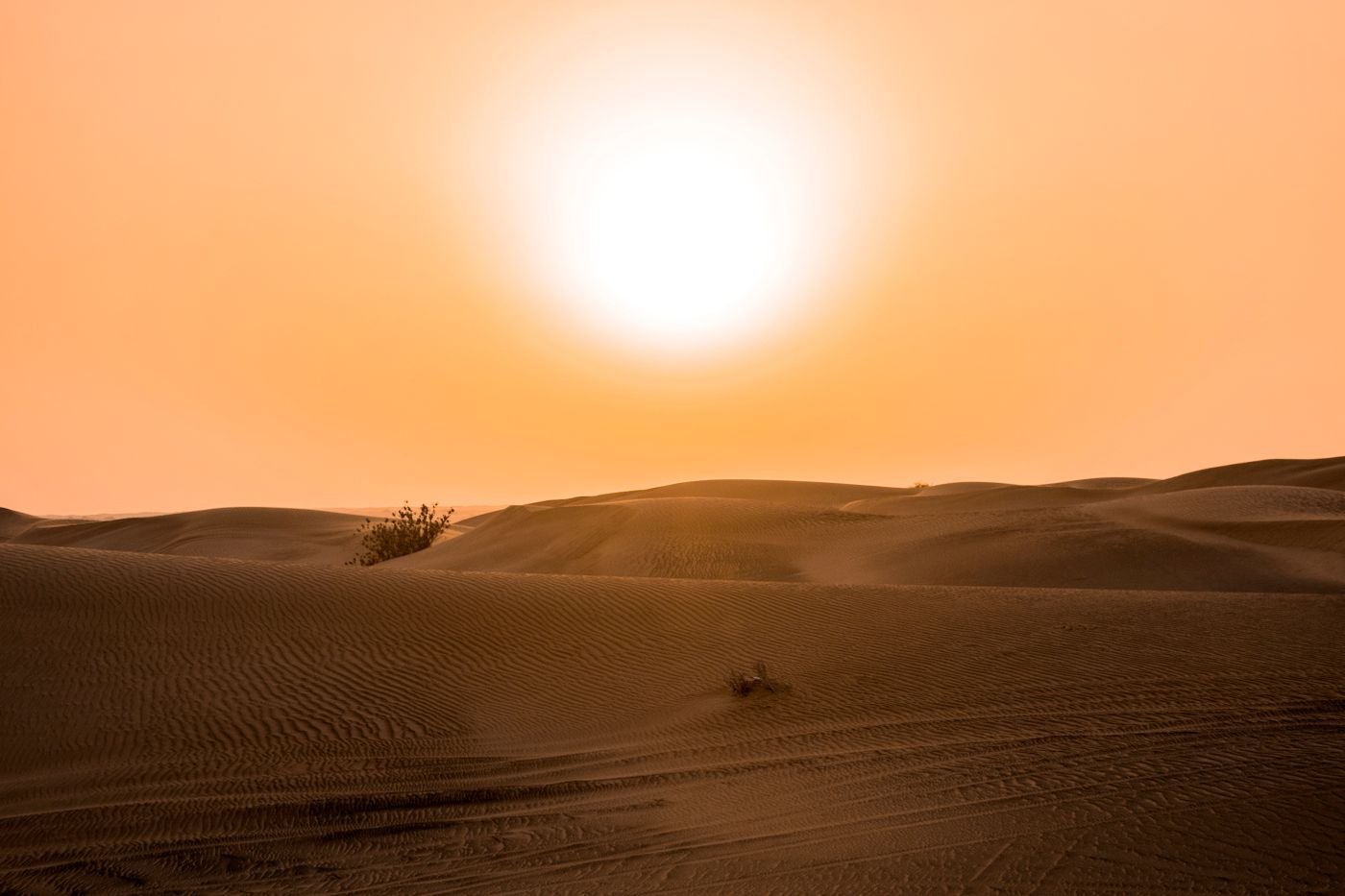 Route et dunes dans le désert de Dubaï
