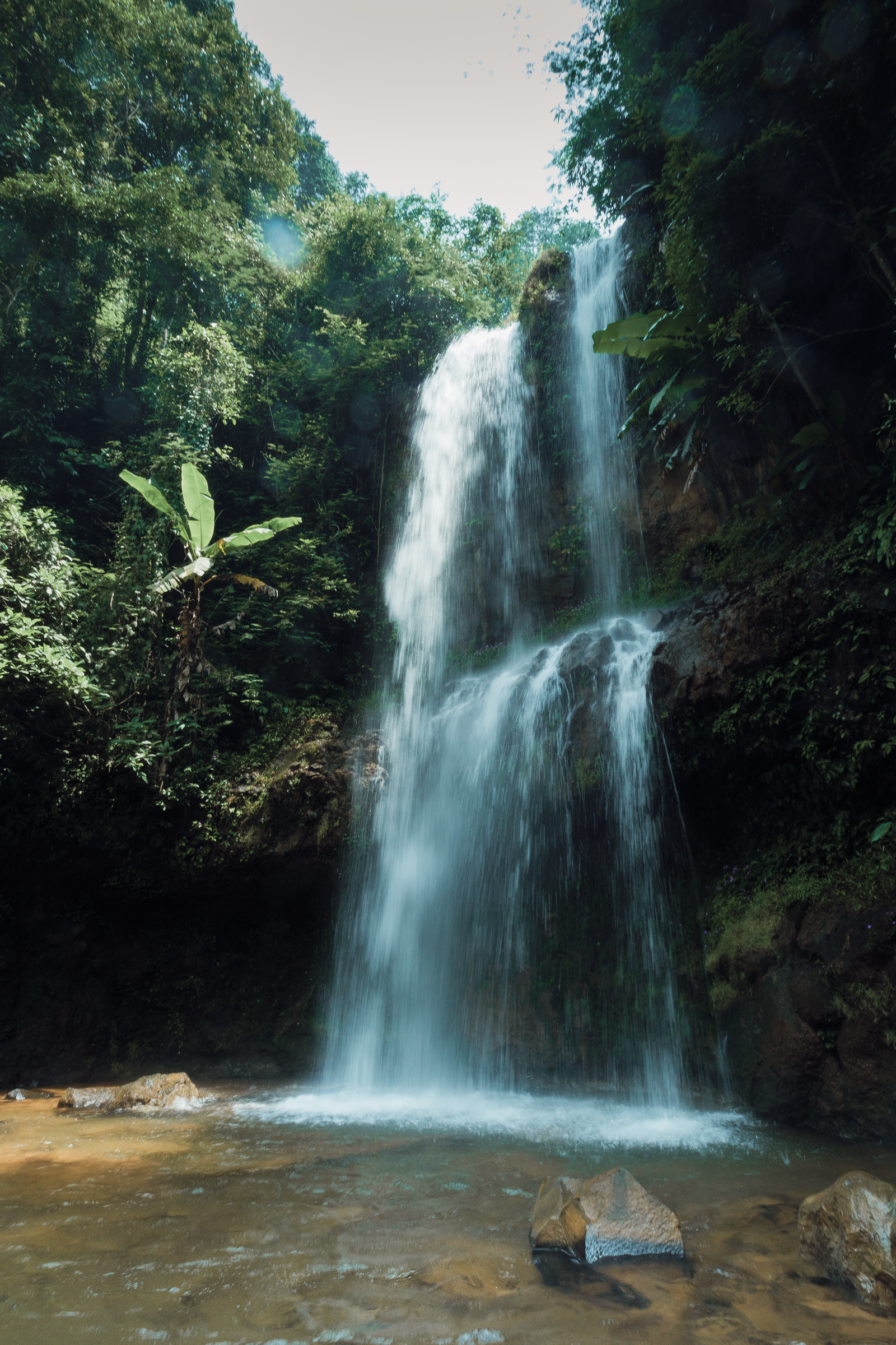 Cascade dans une forêt tropicale luxuriante
