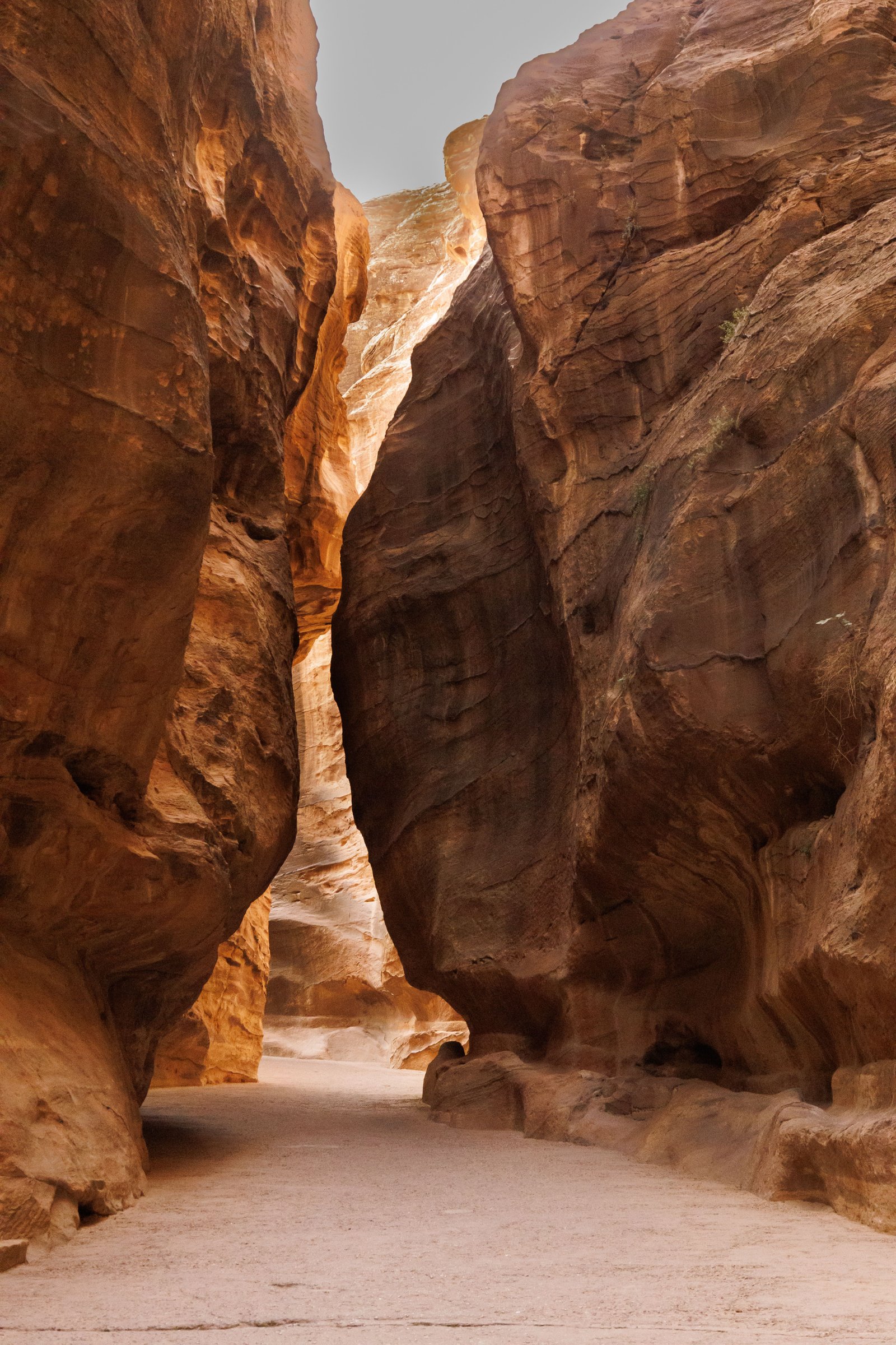 Gorge de grès près de Pétra, en Jordanie
