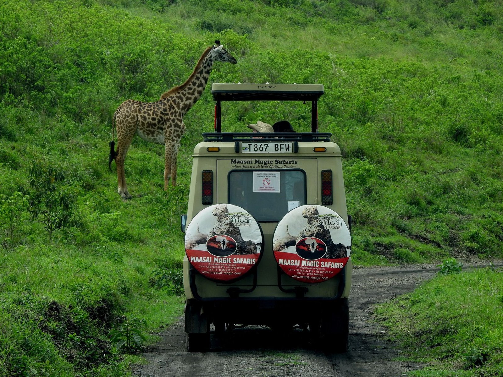 Véhicule de safari sur une piste en Tanzanie
